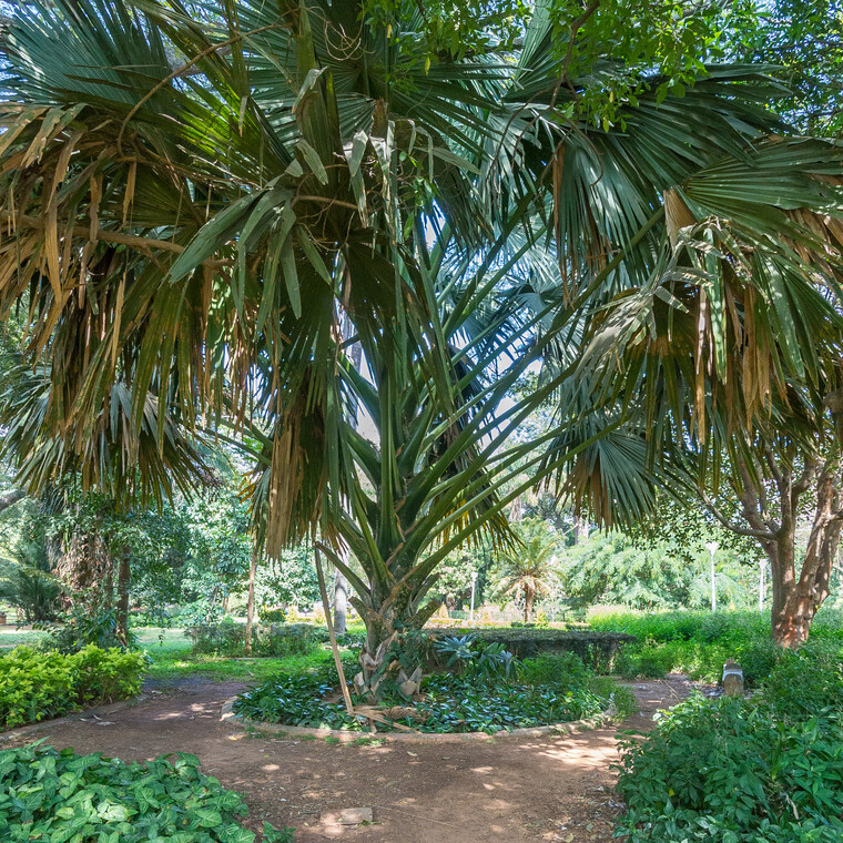 India 2014 - Bangalore 022.jpg